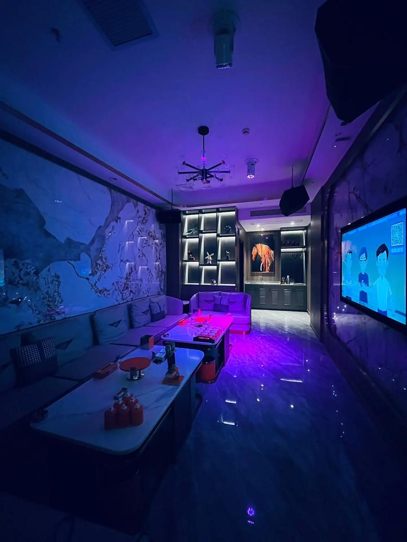 泰安商务ktv划算吗值得一试-肥城市ktv预订